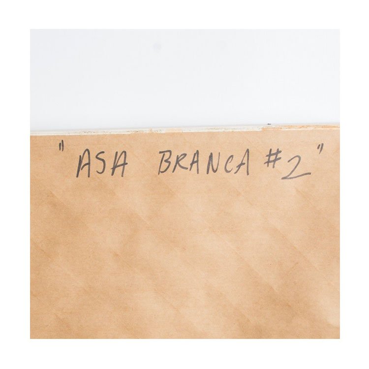 Asa Branca #2